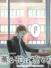 综艺片库